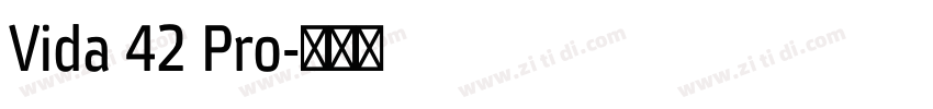 Vida 42 Pro字体转换